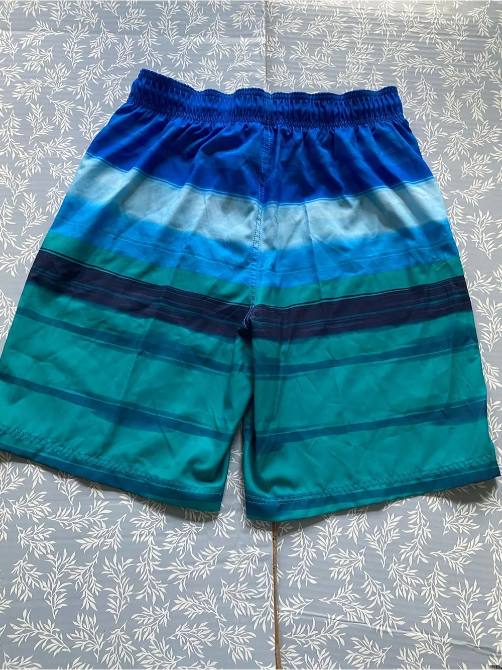 Speedo Men's Blue and Teal Gradient Stripe Swim Trunks
